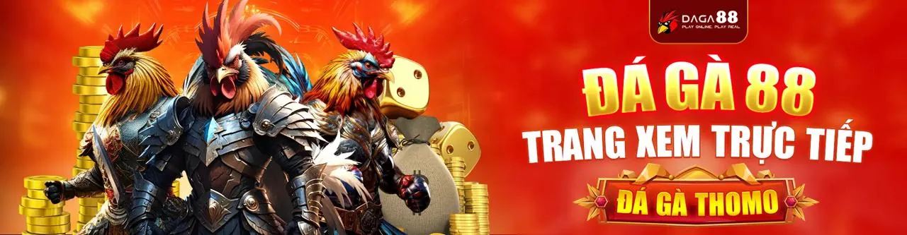 Trải nghiệm cá cược nâng cao cho thành viên VIP
